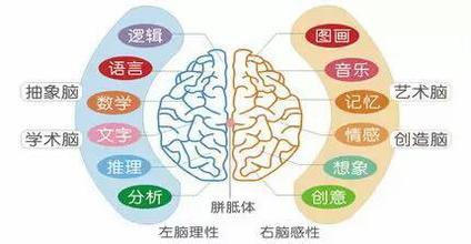mnemonics-basic-overview-brain