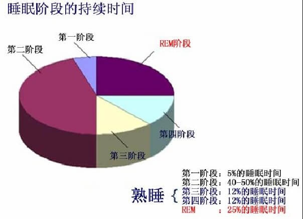 睡眠阶段的持续时间